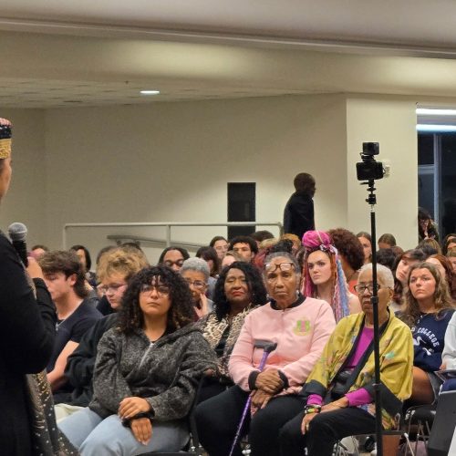 Woman wearing hat stands in foreground while addressing an audience