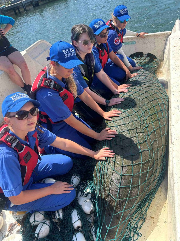 Six students in blue outfits and sunglasses and hats that read EC-SAR sit aside a manatee in a net on a boat