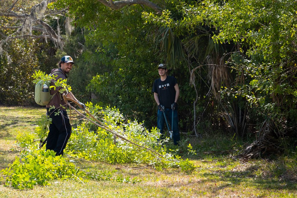 Two students outside removing tall plants with sharp tools