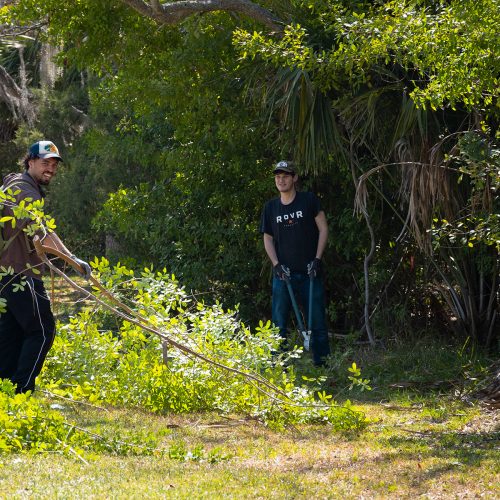 Two students outside removing tall plants with sharp tools