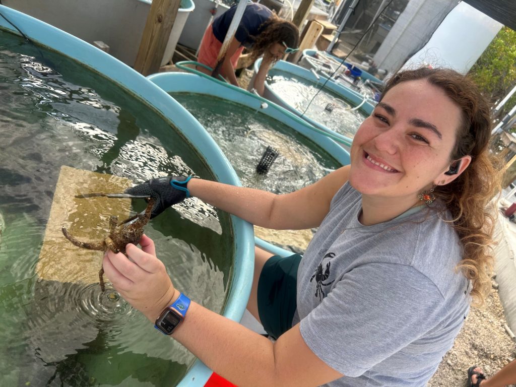 A smiling young woman, Taylor Queen, smiles while sorting Carribean King Crabs in a tank of water.