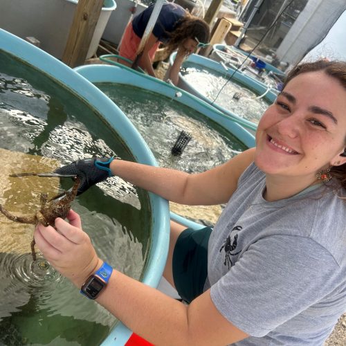 A smiling young woman, Taylor Queen, smiles while sorting Carribean King Crabs in a tank of water.