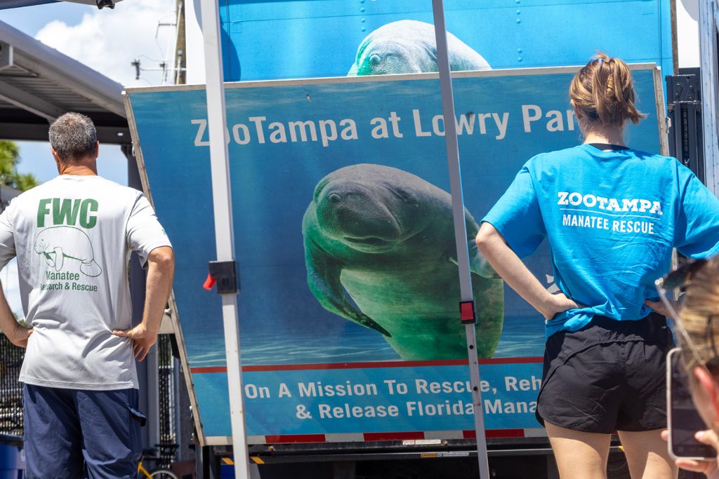 Two people stand facing the back of a truck as its ramp lowers, one wearing a shirt that reads FWC and another with a shirt that reads ZooTampa