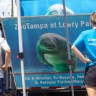 Two people stand facing the back of a truck as its ramp lowers, one wearing a shirt that reads FWC and another with a shirt that reads ZooTampa