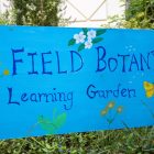 A blue sign says "Field Botany Learning Garden" on it.