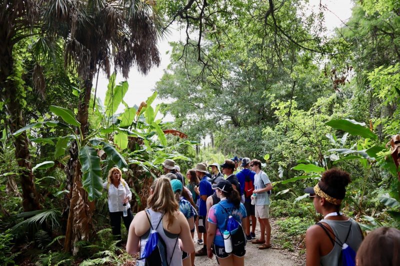 Pre-College students walking through Boyd Hill