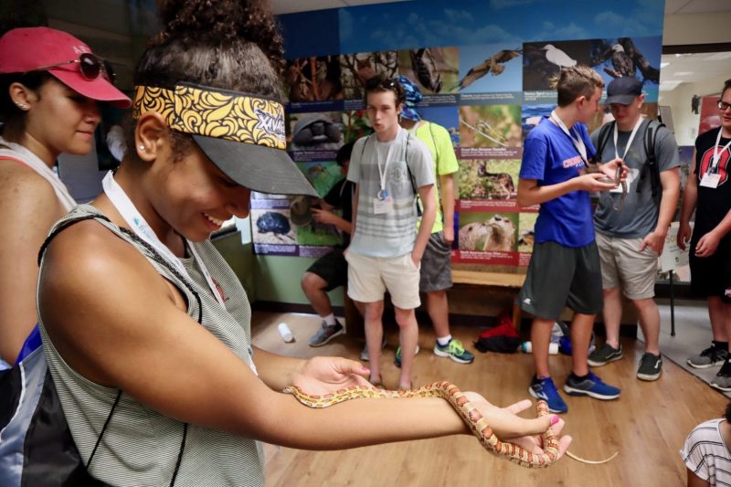 Students at Boyd Hill interacting with snakes