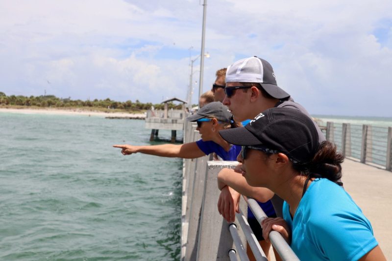 Pre-College students on a pier, looking at something in water