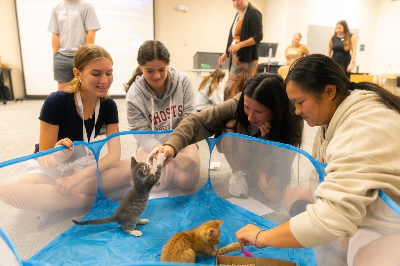 Pre-College Students with kittens