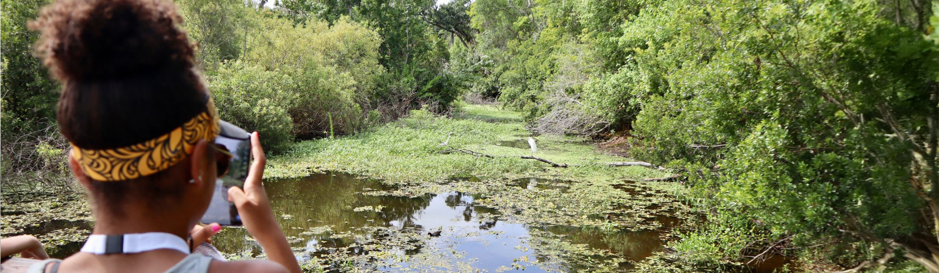 Student standing on bridge taking photo of watery preserve