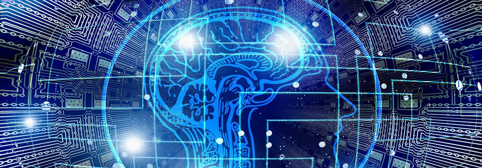 Brain with circuitry overlay