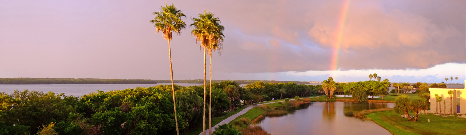 View of campus at sunset with a rainbow and tall palm trees