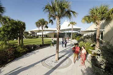 Students walking past palm trees