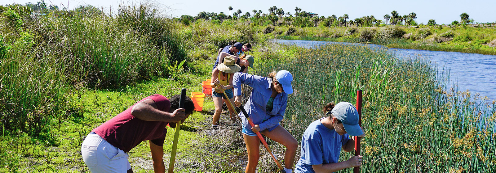 Students shoveling to restore vegetation in a preserve