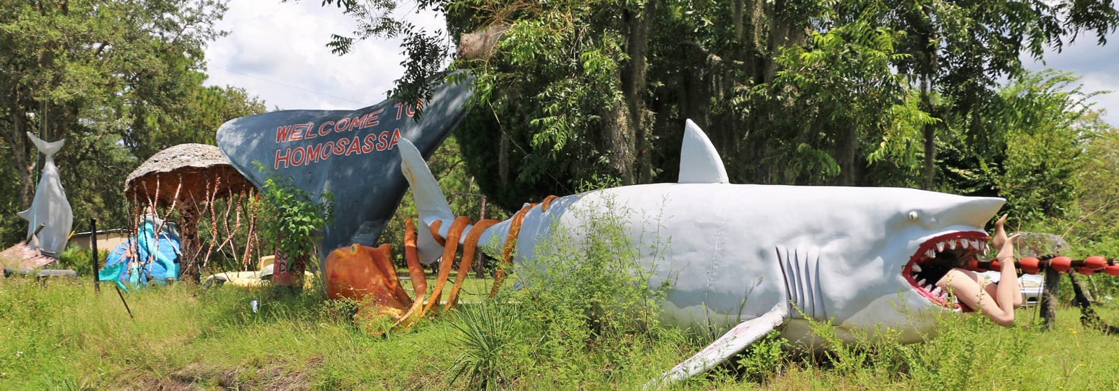 Student work by Rachel MacDonald '18 showing student entering mouth of great white shark