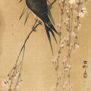 Ohara Koson, Two Barn Swallows on Blossoming Cherry, c. 1910