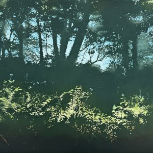 Alyson Stoneman, Lamorna Glade, intaglio, 1978