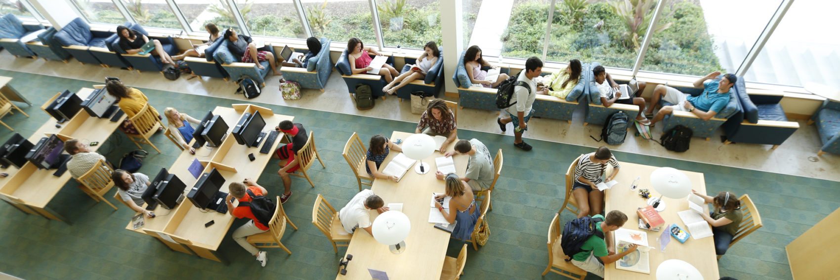 Students in library