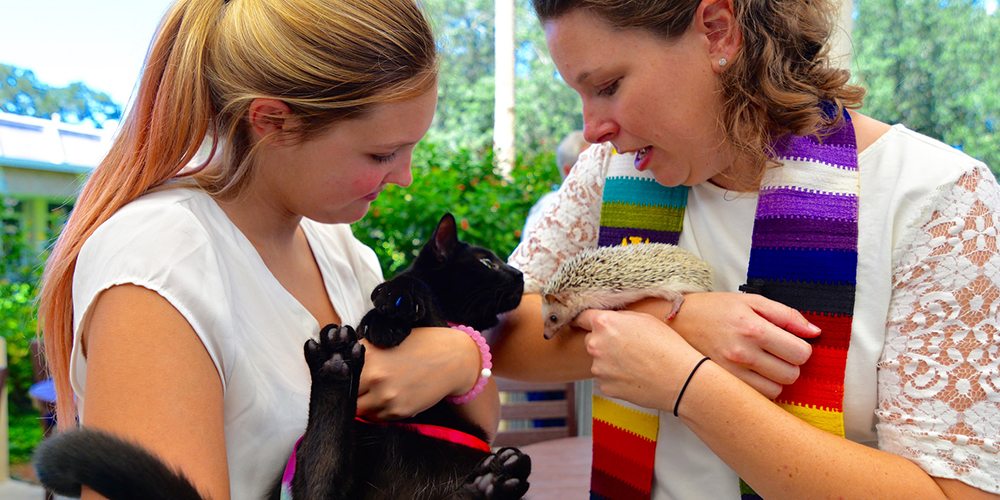 Pet blessing