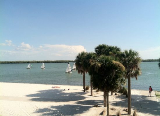 View towards bay as sailboats sail by