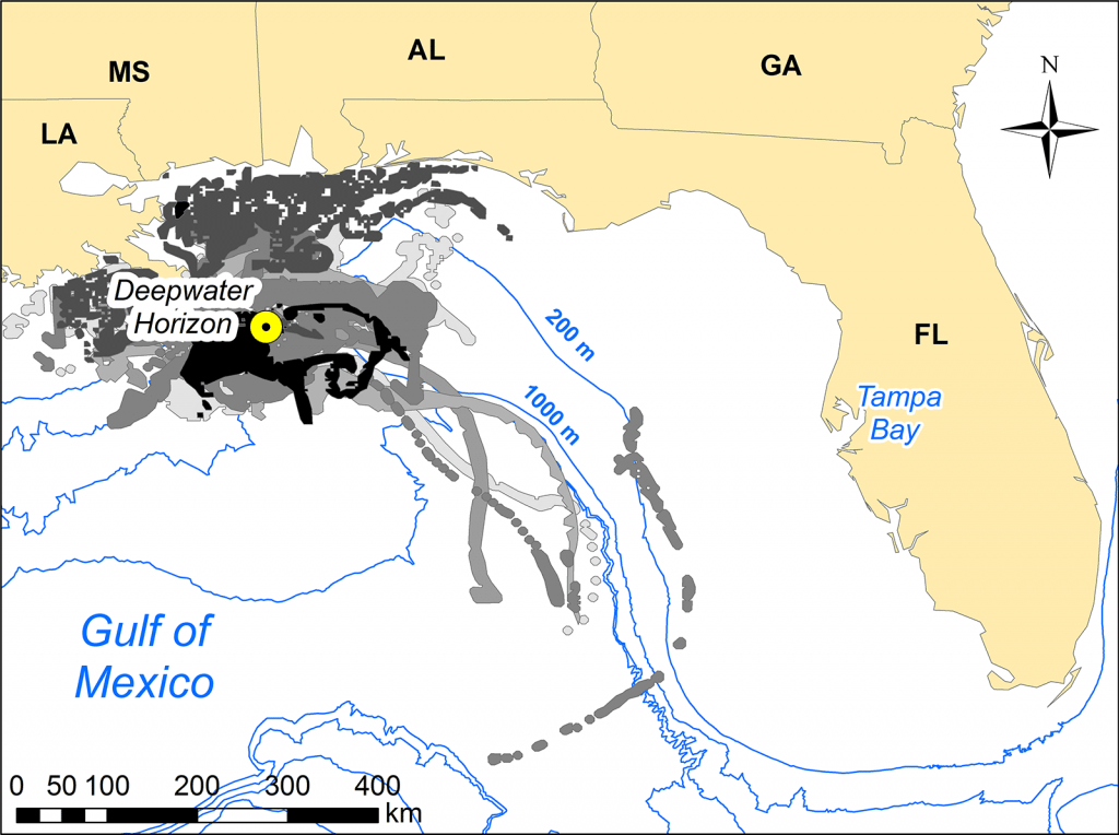 Map showing the location of the Deepwater Horizon platform in relation to Tampa Bay