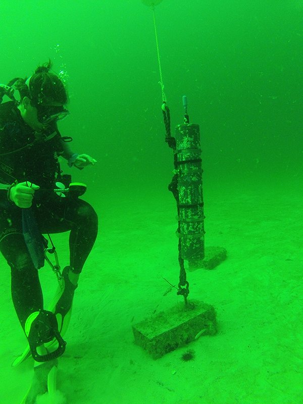 Acoustic recorder