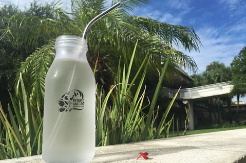 Reusable water bottle with metal straw