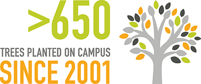 More than 650 trees planted on campus since 2001