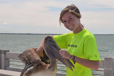 Eckerd student saving a brown pelican from entanglement