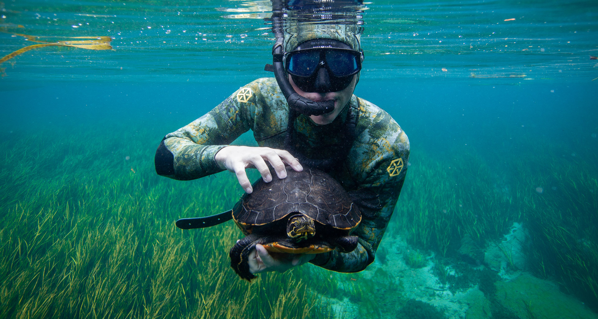 Eckerd student in snorkling gear under water holding turtle