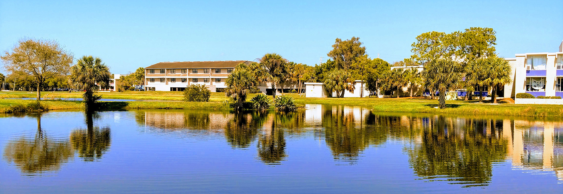 Residence halls and palm trees reflected in a pond