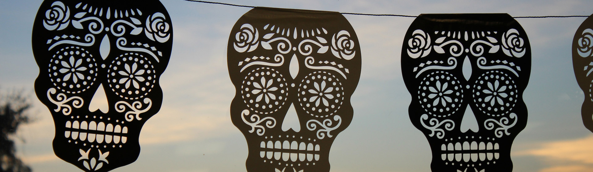 Skulls cut from black paper strung along a line outside with a sunset in the background