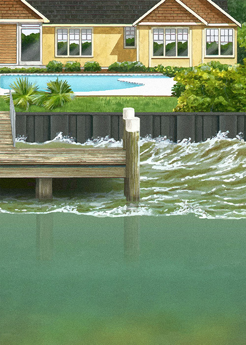 Illustration showing no fish or plants living along the shore near a dock