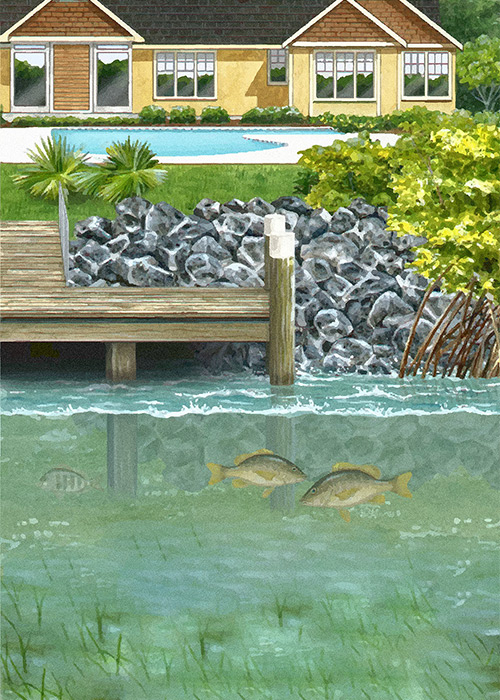 Illustration showing a few fish and plants living along the shore near a dock