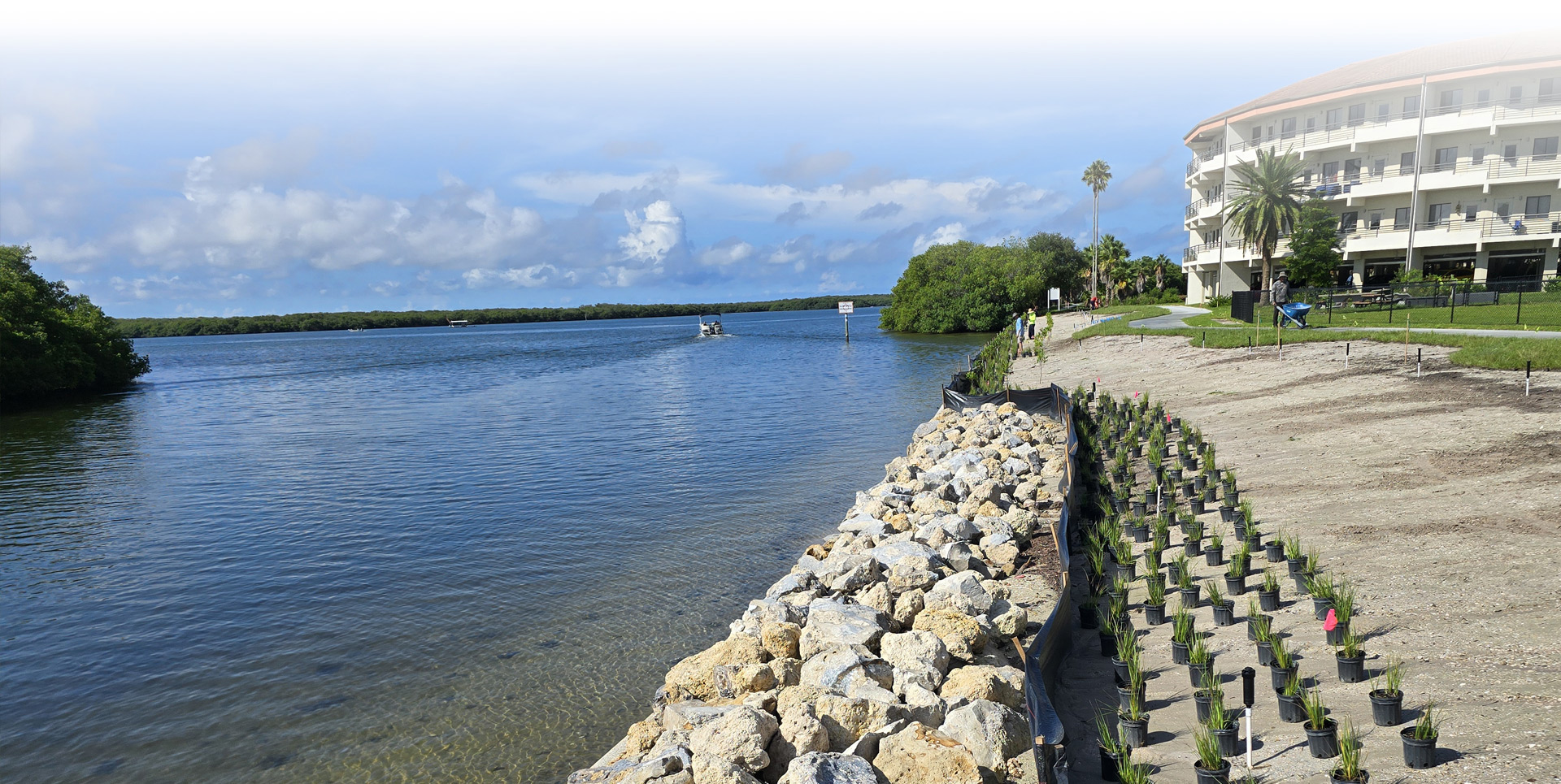 Large rocks and small plants in buckets organized and lined up along a stretch of sandy shoreline next to bay