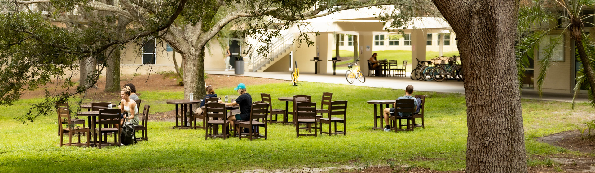 Students seated at small tables on a grassy quadrangle surrounded by oak trees